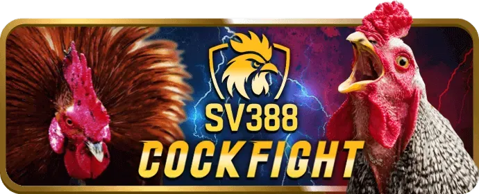 Trò chơi Video Slot Hiện Đại